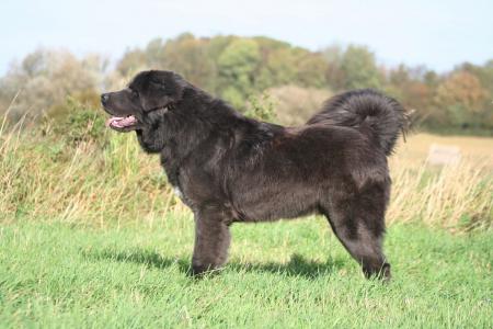 QU' EN PENSEZ-VOUS ?