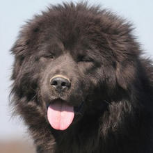 CESPA Z KASINSKE LOUKY (dit Cheng�)